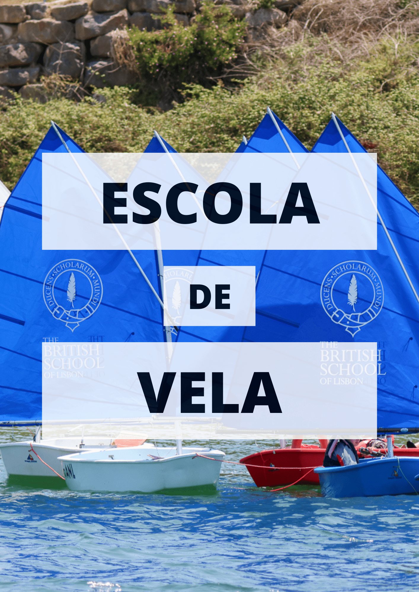 aulas de vela